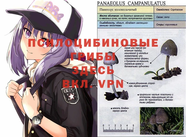 бошки Медвежьегорск