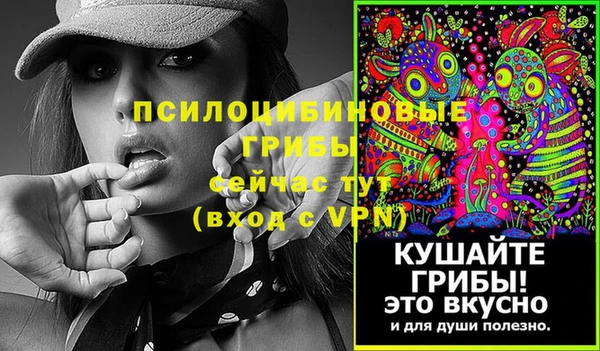 бошки Медвежьегорск