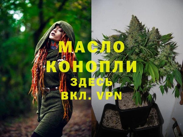 ГАЛЛЮЦИНОГЕННЫЕ ГРИБЫ Магас