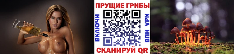 Галлюциногенные грибы MAGIC MUSHROOMS  Лысьва 