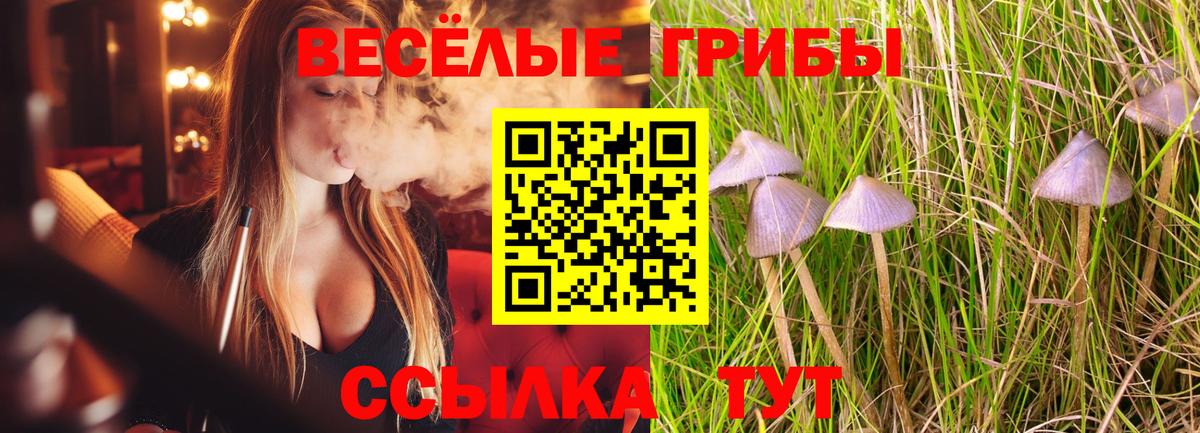 Галлюциногенные грибы Magic Shrooms Лысьва